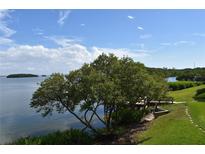 Scenic waterfront view with lush landscaping and private dock at 1515 Pinellas Bayway S # 70, Tierra Verde, FL 33715