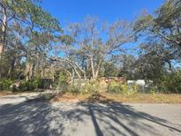 Ranch style home with mature trees and a fenced yard at 12411 Eagle Lake Ave, New Port Richey, FL 34654