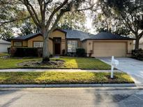 Charming single-story home with a well-maintained lawn and mature trees providing shade at 19809 Wyndham Lakes Dr, Odessa, FL 33556