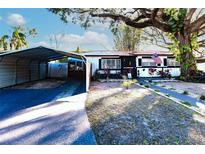 Updated home exterior with landscaped yard, carport and walkway at 2005 E Crenshaw St, Tampa, FL 33610