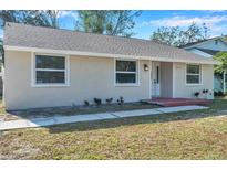 Updated single-story home with fresh paint and landscaping at 16116 Sagebrush Rd, Tampa, FL 33618
