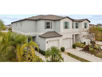 Two-story townhome with gray exterior, two-car garage, and landscaping at 7230 Sweet Alyssum Ct, Tampa, FL 33619