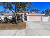 Single-story house with pink garage and mature landscaping at 10215 Evening Trail Dr, Riverview, FL 33569
