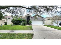 Gray house with white garage door and landscaping at 19130 Wood Sage Dr, Tampa, FL 33647