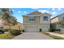 Two-story house with two-car garage and driveway at 5037 White Sanderling Ct, Tampa, FL 33619