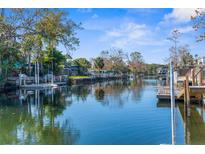 Picturesque waterfront view of a canal with houses and boats at 5401 Circle Dr, Weeki Wachee, FL 34607