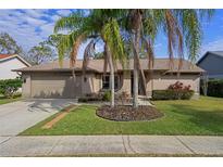 Tan house with two palm trees in front, a spacious lawn, and a paved driveway at 3259 Glenridge Dr, Palm Harbor, FL 34685