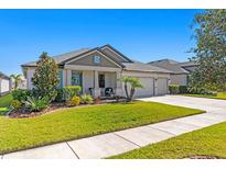 Single-story home with landscaped front yard, two-car garage, and inviting porch at 13614 Tonya Anne Dr, Riverview, FL 33579