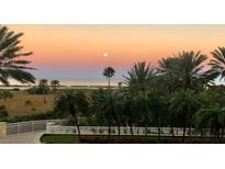 Stunning sunset view over the ocean and palm trees at 1200 Gulf Blvd # 204, Clearwater Beach, FL 33767