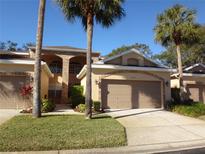 Two-story house with two-car garage and landscaping at 2203 Preservation Dr, Plant City, FL 33566