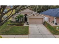 One-story house with a two-car garage and landscaped lawn at 13415 Staghorn Rd, Tampa, FL 33626