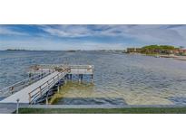 Private wooden dock extends over calm water, offering scenic waterfront views at 464 N Paula Dr # 220, Dunedin, FL 34698