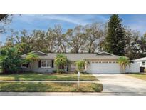 Charming ranch home with mature landscaping and a two-car garage at 14310 Ravenwood Ln, Tampa, FL 33618