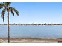 Stunning water view from waterfront property at 6085 Bahia Del Mar Cir # 272, St Petersburg, FL 33715