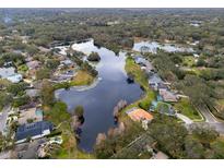 Aerial view of a lakefront community with houses and lush landscaping at 810 Sandringham Ln, Lutz, FL 33549