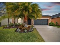 Attractive one-story home with palm trees and landscaped yard at 11804 Valhalla Woods Dr, Riverview, FL 33579