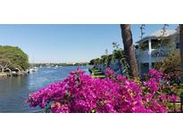 Scenic waterfront view with boats and lush vegetation at 3889 Pompano Se Dr # A, St Petersburg, FL 33705