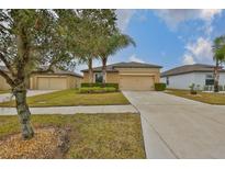 Two-story house with a two-car garage and landscaping at 11218 Leland Groves Dr, Riverview, FL 33579