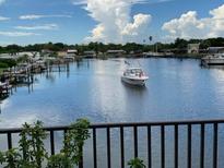 Scenic waterfront view with boats and lush greenery at 3753 46Th S Ave # 7, St Petersburg, FL 33711