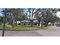 Cute bungalow home with a light blue exterior, nestled amongst mature trees at 3602 E Renellie Cir, Tampa, FL 33629