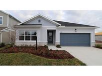 Charming single-story home featuring a gray garage door and a well-manicured front yard at 11853 Mile Marsh Dr, Riverview, FL 33569