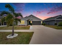 Gray one-story house with a two-car garage and landscaped yard at 14525 Scottburgh Glen Dr, Wimauma, FL 33598