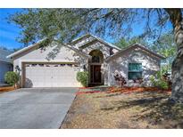 One-story house with attached garage, landscaping, and a spacious front yard at 7136 Colony Pointe Dr, Riverview, FL 33578