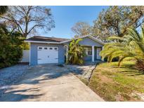 Well-maintained single-story home featuring a lush lawn and a practical driveway at 8307 Boxwood Dr, Tampa, FL 33615