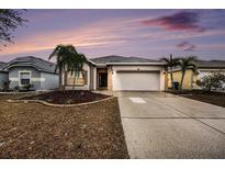 One-story home with a two-car garage, landscaping, and a paved driveway at 9642 Cypress Harbor Dr, Gibsonton, FL 33534