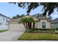 Tan one-story house with a two-car garage and palm trees at 18916 New Passage Blvd, Land O Lakes, FL 34638