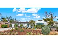 Charming ranch home with landscaped yard and a bright blue door at 3401 W Paris St, Tampa, FL 33614