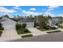 Three homes with two-car garages and manicured lawns are visible from above at 4318 Deep Creek Ter, Parrish, FL 34219
