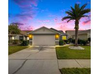 One-story house with gray siding, white garage door, and landscaped yard at 6621 Gentle Ben Cir, Wesley Chapel, FL 33544