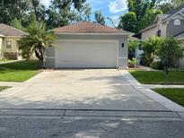 House with a spacious attached garage and well-maintained driveway at 11719 Mango Groves Blvd, Seffner, FL 33584