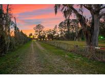 Long driveway leading to a charming home under a beautiful sunset, surrounded by lush greenery at 10601 Paul S Buchman, Plant City, FL 33565