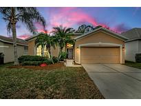 Attractive single-story house with a two-car garage and well-manicured lawn at 19144 Meadow Pine Dr, Tampa, FL 33647