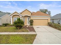 One-story house with a two-car garage and landscaped yard at 5537 Terrain De Golf Dr, Lutz, FL 33558