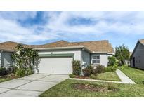 Single-story house with attached garage and well-maintained landscaping at 7304 Cleopatra Dr, Land O Lakes, FL 34637