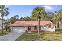 Single story home with tile roof and palm trees in front yard at 11097 Golden Eagle Ave, Weeki Wachee, FL 34613