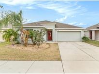 One-story house with attached garage and landscaping at 1782 Broad Winged Hawk Dr, Ruskin, FL 33570
