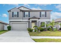 Two-story house with gray siding, neutral garage door, and landscaped lawn at 13614 Wild Ginger St, Riverview, FL 33579