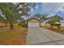 Cute one-story home with a white garage door and a well-maintained lawn at 1415 Mohrlake Dr, Brandon, FL 33511