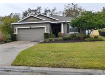 One-story house with gray siding, two-car garage, and landscaped lawn at 2815 Holly Bluff Ct, Plant City, FL 33566