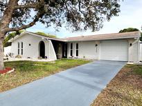 Charming single-story home with a spacious driveway at 9334 Ledgestone Ln, Port Richey, FL 34668