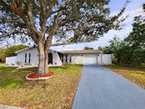 White single-story house with a long driveway and landscaped yard at 9334 Ledgestone Ln, Port Richey, FL 34668