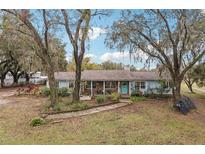 Ranch style home with light blue exterior, landscaping, and walkway at 3009 Jim Johnson Rd, Plant City, FL 33566