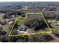 Aerial view showing a house on a large lot with surrounding trees at 18420 Burrell Rd, Odessa, FL 33556