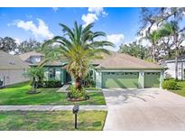 Attractive single-story house with a green exterior, palm trees, and a well-maintained lawn at 2005 Wexford Green Dr, Valrico, FL 33594