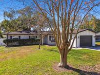 Brick home with gray garage door, landscaping, and a large tree in the front yard at 2522 Krueger Ln, Tampa, FL 33618