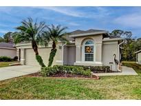 Well-maintained house with a two-car garage and landscaping at 5233 Gato Del Sol Cir, Wesley Chapel, FL 33544